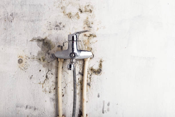 Best Mold Remediation for Schools in Davis, OK