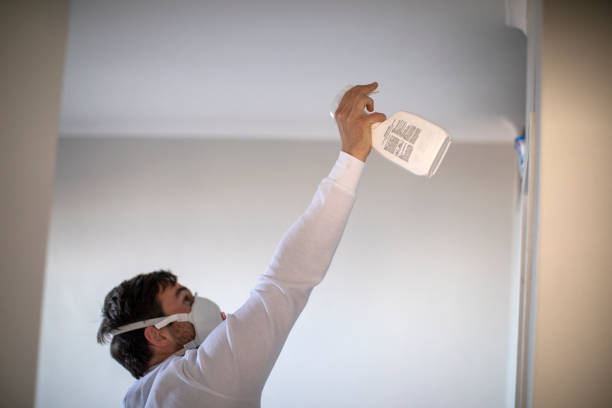 Best Bathroom Mold Remediation in Davis, OK