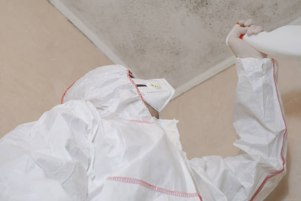 Best Post-Remediation Services in Davis, OK