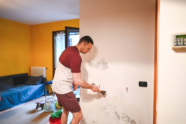 Best Industrial Mold Remediation in Davis, OK